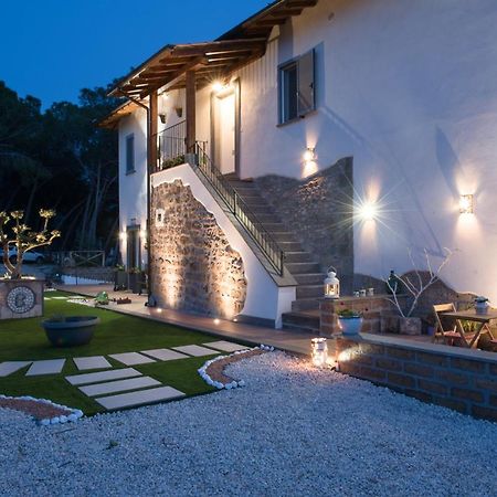 Le Terrazze Di Casa Bonelli Bed & Breakfast Vetralla Ngoại thất bức ảnh