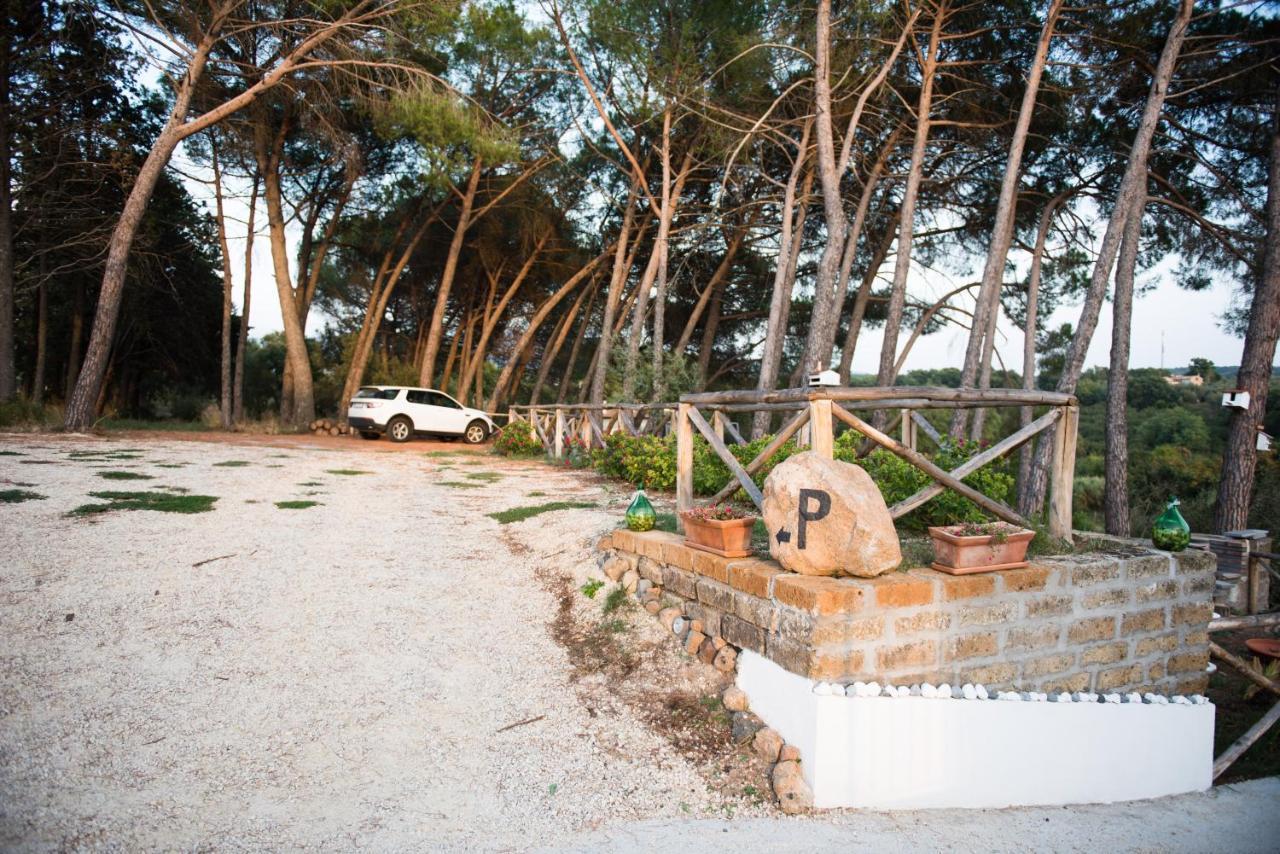 Le Terrazze Di Casa Bonelli Bed & Breakfast Vetralla Ngoại thất bức ảnh